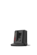 Professional-grade 60 V charger