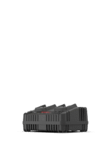 Kress 20 V dual port charger
